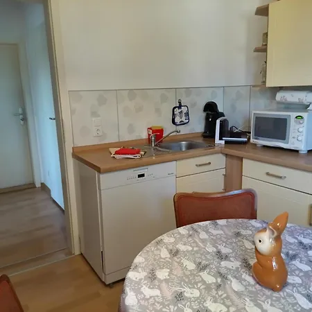 Ferienwohnung Finkenberg Sebnitz Exterior foto